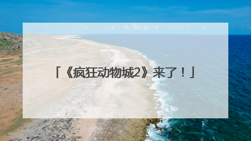 《疯狂动物城2》来了！