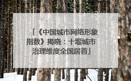 《中国城市网络形象指数》揭晓：十堰城市治理维度全国居首