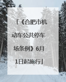 《合肥市机动车公共停车场条例》6月1日起施行