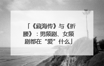 《藏海传》与《折腰》：男频剧、女频剧都在“爱”什么
