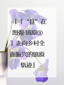「“县”在图强·镇原③」走向乡村全面振兴的镇原轨迹
