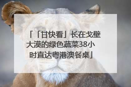 「甘快看」长在戈壁大漠的绿色蔬菜38小时直达粤港澳餐桌