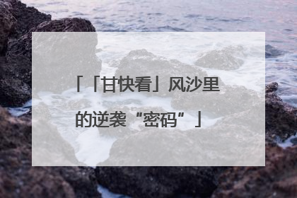 「甘快看」风沙里的逆袭“密码”