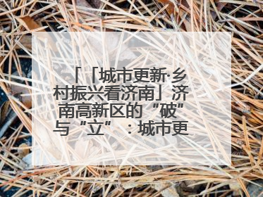 「城市更新·乡村振兴看济南」济南高新区的“破”与“立”：城市更新的空间密码与品质进阶