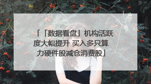 「数据看盘」机构活跃度大幅提升 买入多只算力硬件股减仓消费股