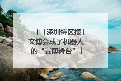 「深圳特区报」文博会成了机器人的“赛博舞台”