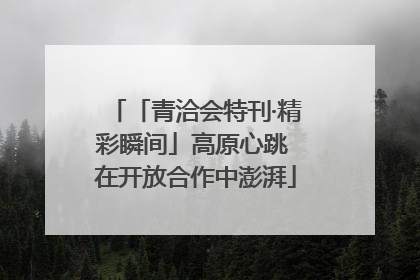 「青洽会特刊·精彩瞬间」高原心跳 在开放合作中澎湃