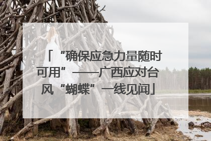 “确保应急力量随时可用”——广西应对台风“蝴蝶”一线见闻