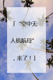 “空中无人机航母”，来了！