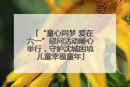 “童心同梦 爱在六一”慰问活动暖心举行，守护沈城困境儿童幸福童年