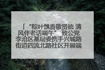 “粽叶飘香敬贤德 清风伴老话端午” 致公党李沧区基层委携手兴城路街道四流北路社区开展端午节主题活动