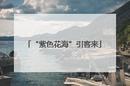 “紫色花海”引客来