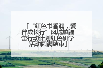 “红色书香润，爱伴成长行”凤城镇福蕾行动计划红色研学活动圆满结束