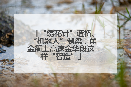 “绣花针”造桥、“机器人”制梁，甬金衢上高速金华段这样“智造”