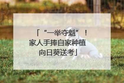 “一举夺魁”！家人手捧自家种植向日葵送考