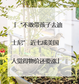 “不敢带孩子去迪士尼” 近七成美国人觉得物价还要涨