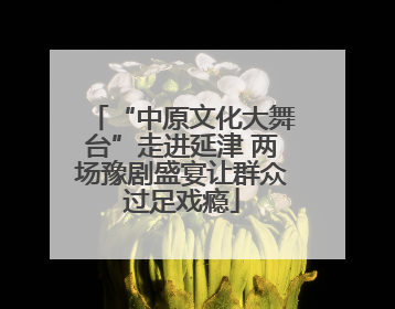“中原文化大舞台”走进延津 两场豫剧盛宴让群众过足戏瘾