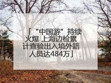 “中国游”持续火爆 上海边检累计查验出入境外籍人员达484万