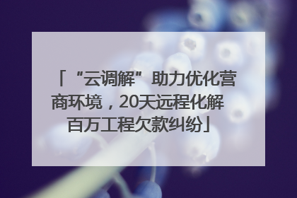 “云调解”助力优化营商环境，20天远程化解百万工程欠款纠纷