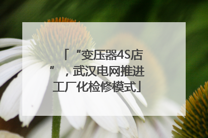 “变压器4S店”，武汉电网推进工厂化检修模式