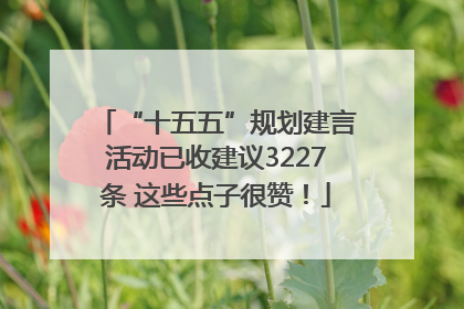 “十五五”规划建言活动已收建议3227条 这些点子很赞！