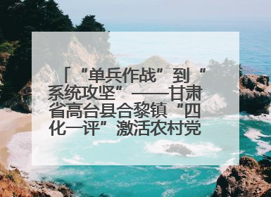 “单兵作战”到“系统攻坚”——甘肃省高台县合黎镇“四化一评”激活农村党员管理新引擎