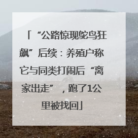 “公路惊现鸵鸟狂飙”后续：养殖户称它与同类打闹后“离家出走”，跑了1公里被找回