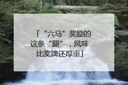 “六马”奖励的这条“腿”，风味比奖牌还厚重