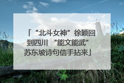 “北斗女神”徐颖回到四川 “能文能武”苏东坡诗句信手拈来