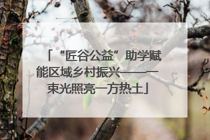 “匠谷公益”助学赋能区域乡村振兴——一束光照亮一方热土