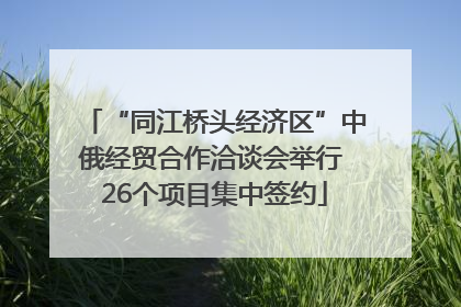 “同江桥头经济区”中俄经贸合作洽谈会举行 26个项目集中签约