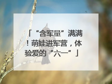 “含军量”满满！萌娃进军营，体验爱的“六一”