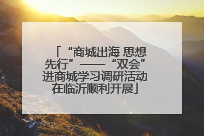 “商城出海 思想先行”——“双会”进商城学习调研活动在临沂顺利开展