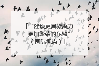 “建设更具凝聚力、更加繁荣的东盟”（国际视点）