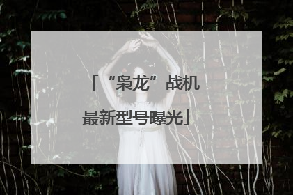 “枭龙”战机最新型号曝光