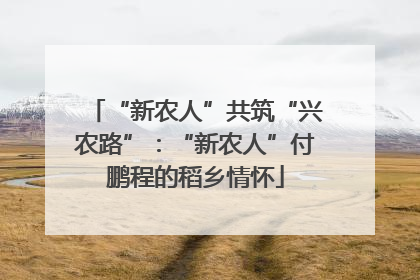 “新农人”共筑“兴农路”：“新农人”付鹏程的稻乡情怀