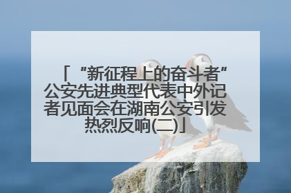 “新征程上的奋斗者”公安先进典型代表中外记者见面会在湖南公安引发热烈反响(二)