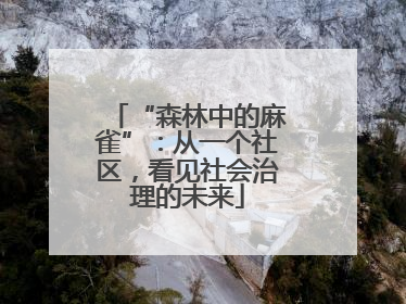 “森林中的麻雀”：从一个社区，看见社会治理的未来