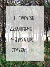“海军陆战队将很快在洛杉矶展开行动”