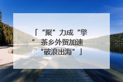 “聚”力成“擎” 茶乡外贸加速“破浪出海”
