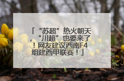 “苏超”热火朝天，“川超”也要来了！网友建议西南F4组建西甲联赛！