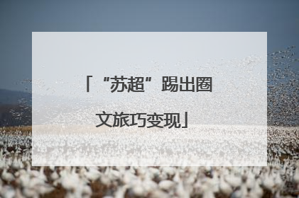 “苏超”踢出圈 文旅巧变现