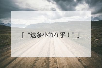 “这条小鱼在乎！”