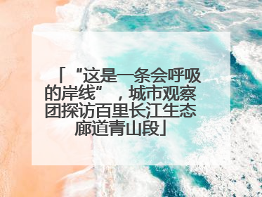“这是一条会呼吸的岸线”，城市观察团探访百里长江生态廊道青山段