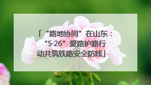 “路地协同”在山东：“5·26”爱路护路行动共筑铁路安全防线