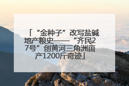 “金种子”改写盐碱地产粮史——“齐民27号”创黄河三角洲亩产1200斤奇迹