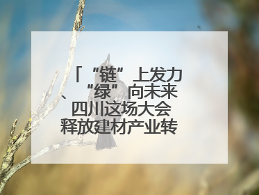 “链”上发力、“绿”向未来 四川这场大会释放建材产业转型升级新动能