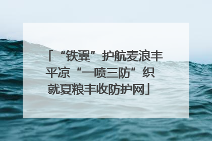 “铁翼”护航麦浪丰 平凉“一喷三防”织就夏粮丰收防护网