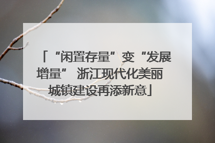 “闲置存量”变“发展增量” 浙江现代化美丽城镇建设再添新意