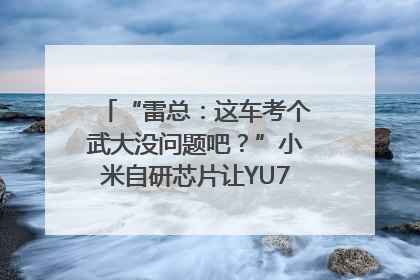 “雷总：这车考个武大没问题吧？”小米自研芯片让YU7会学习｜汽车科技